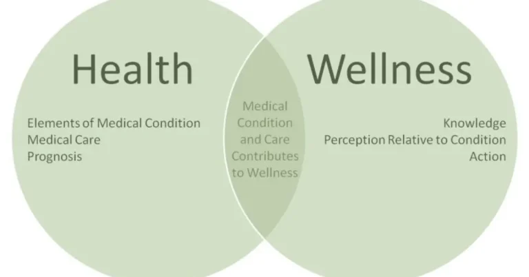 Summarize How the Components of Health Are Related to Wellness