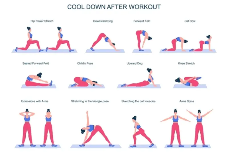 cool down recovery and relaxation